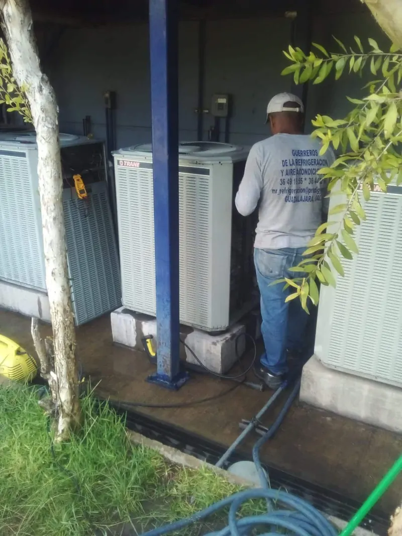 Limpieza de condensadora junto a vegetación — MR Refrigeración en Guadalajara
