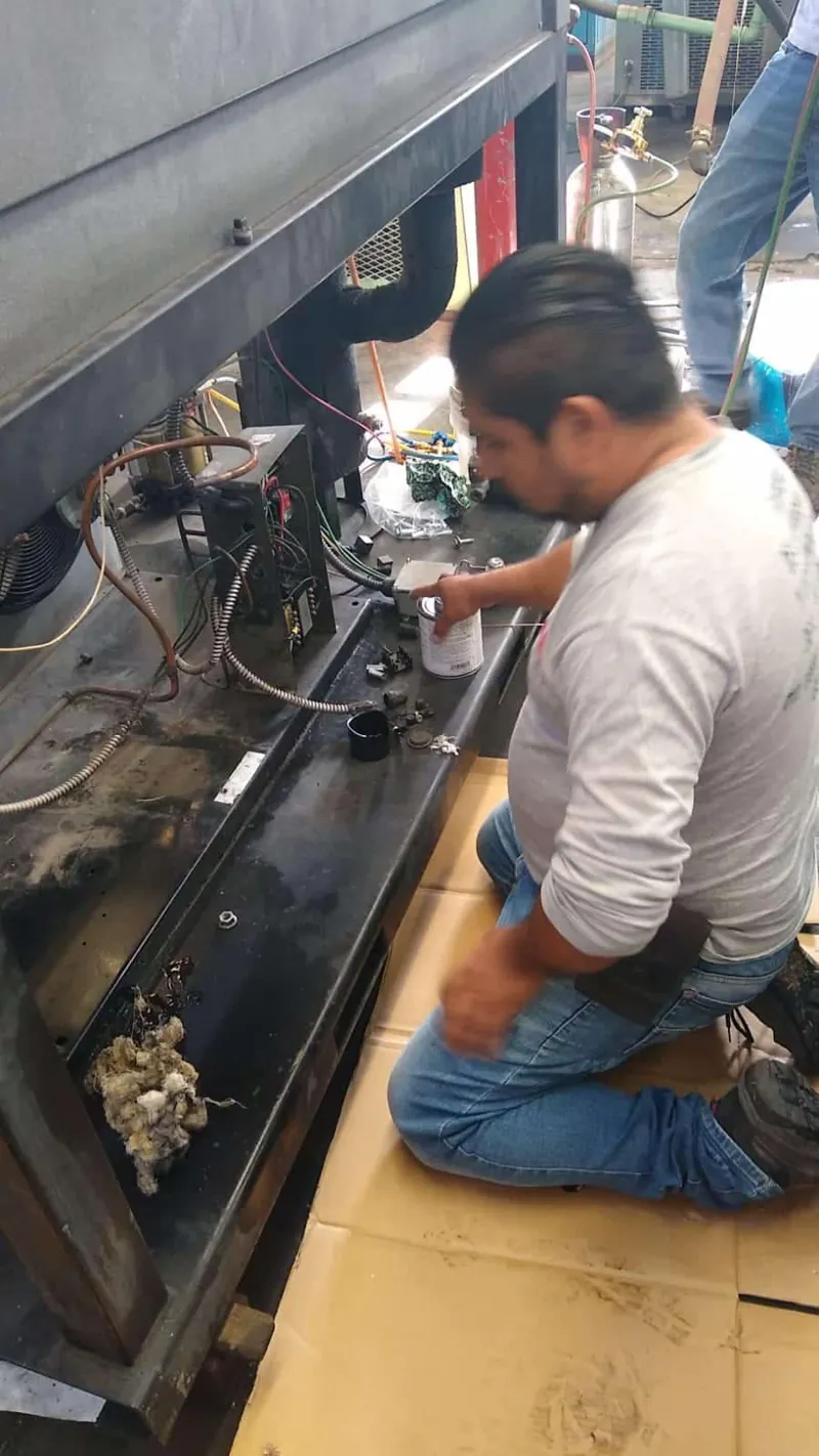 Mantenimiento de componentes de gabinete frigorífico — MR Refrigeración en Guadalajara