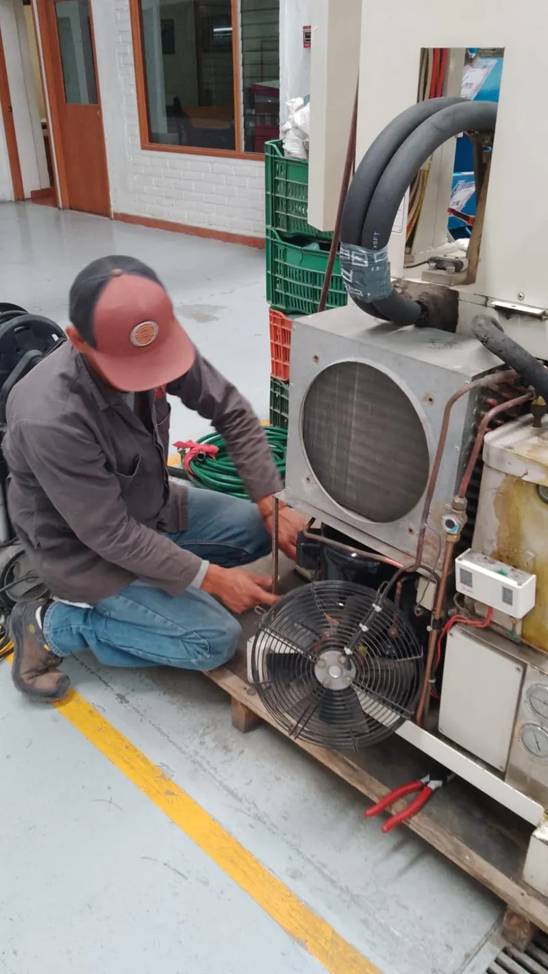 Servicio a componentes internos de gabinete frigorífico — MR Refrigeración en Guadalajara