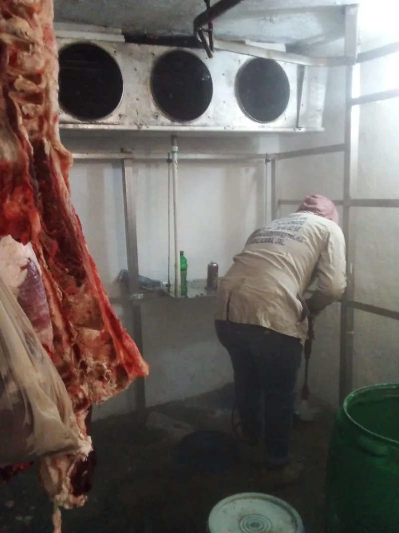 Servicio a evaporador de tres ventiladores en cámara para alimentos para cámaras de refrigeración en Guadalajara
