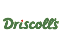 Logotipo de Driscoll’s