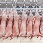 camaras de refrigeracion