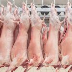 camaras de refrigeracion